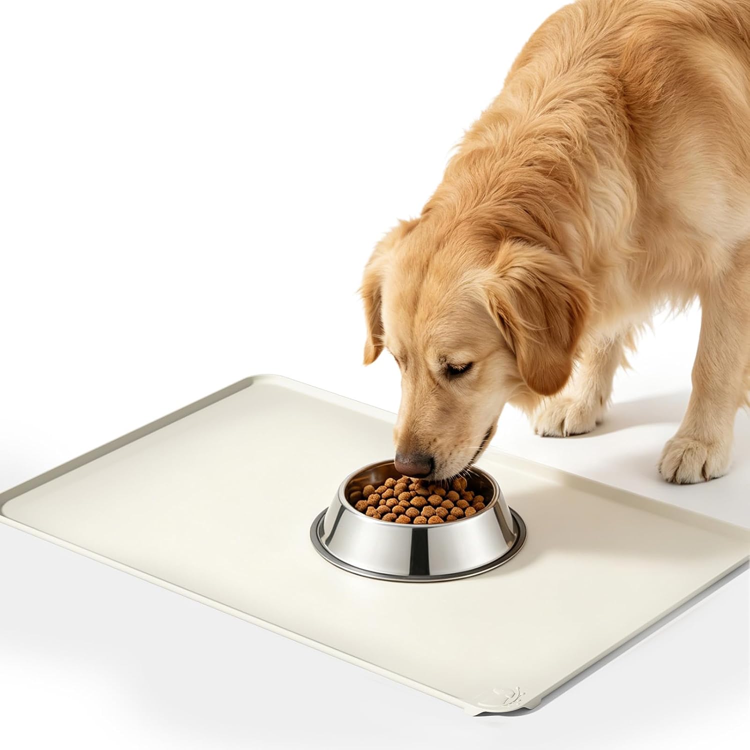 Dog Feeding Accessories