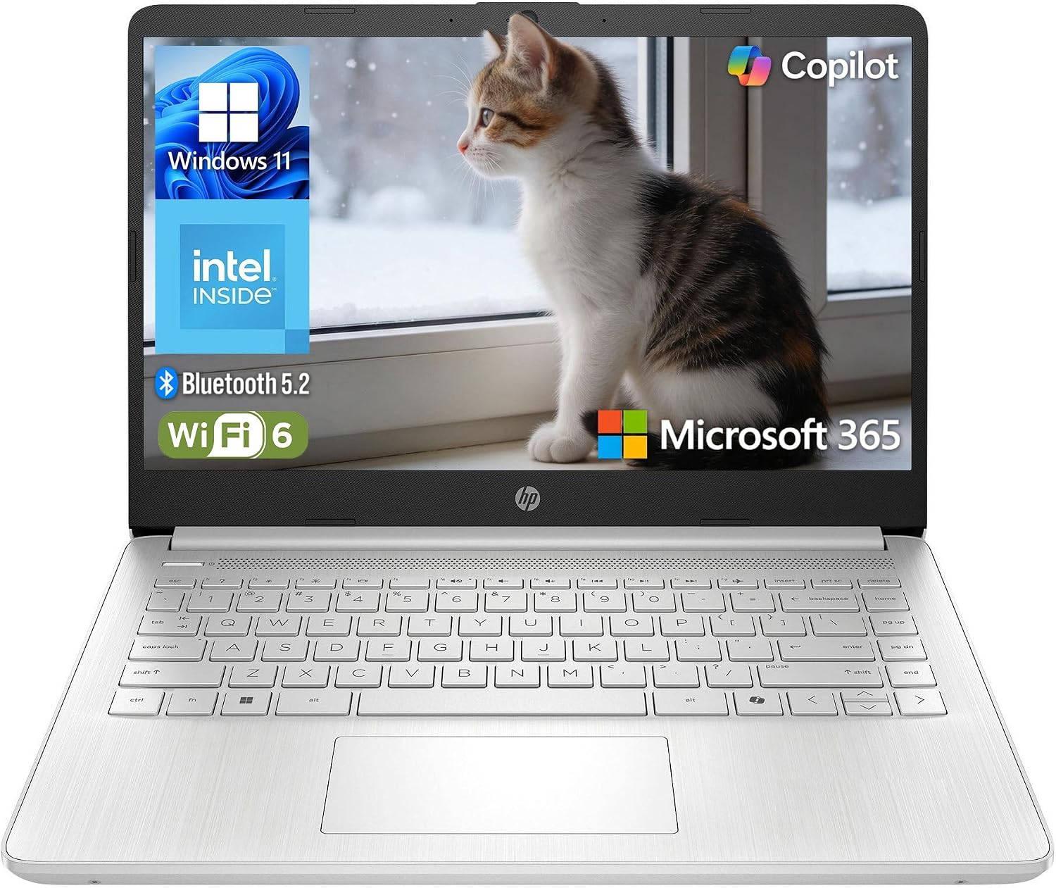 HP Essential Laptop 2026, Intel CPU, 128GB Storage, Office 365, Copilot AI